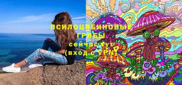 гашик Наволоки