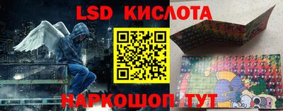бошки Гатчина