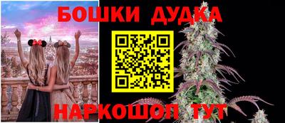 бошки Гатчина