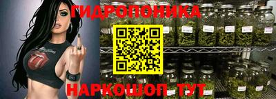 бошки Гатчина