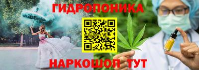 бошки Гатчина