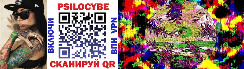 OMG ссылка  даркнет сайт  Губаха  Галлюциногенные грибы Cubensis 