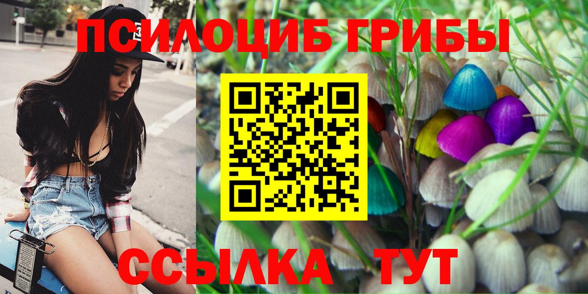 Губаха  закладки  Вход с VPN  Галлюциногенные грибы мицелий 