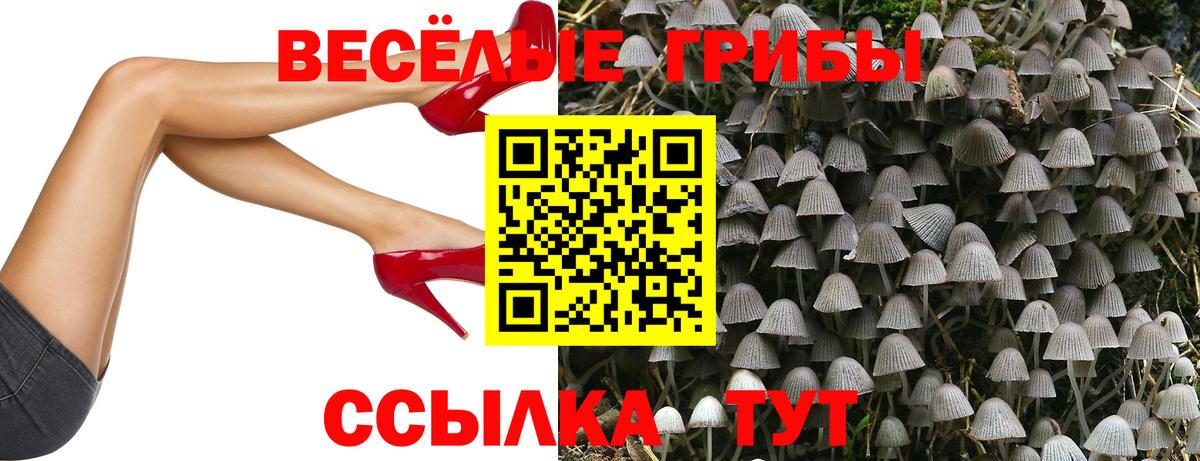 Галлюциногенные грибы GOLDEN TEACHER  Псилоцибиновые грибы MAGIC MUSHROOMS  Губаха 