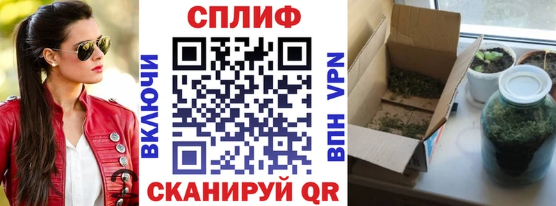 где найти наркотики Губаха Бошки марихуана Ganja
